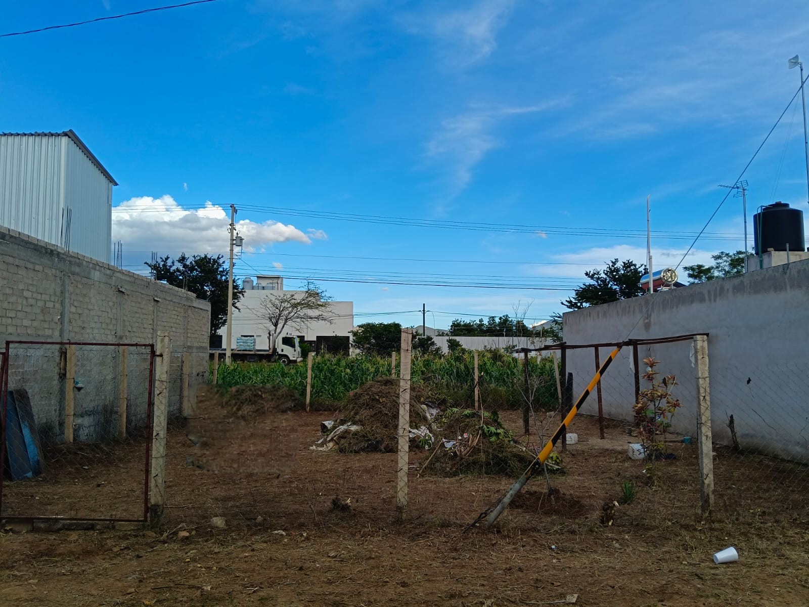 Foto 5